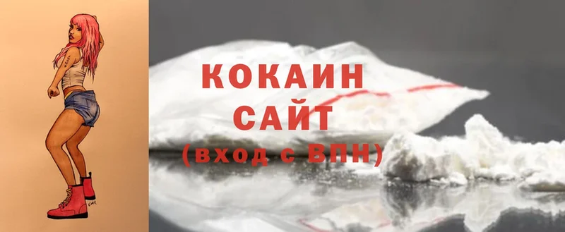 Cocaine FishScale  купить закладку  Лесосибирск 