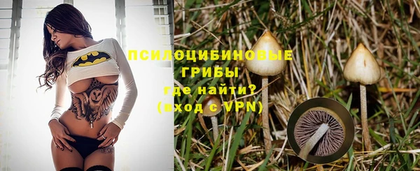 spice Алексеевка