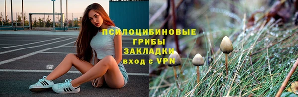 МДПВ Алзамай