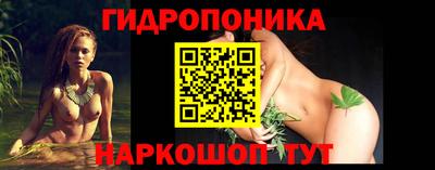 кокс Кандалакша