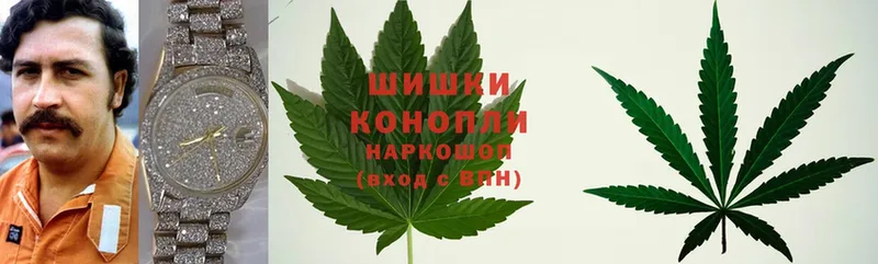 закладка  Лесосибирск  блэк спрут tor  Конопля Ganja 